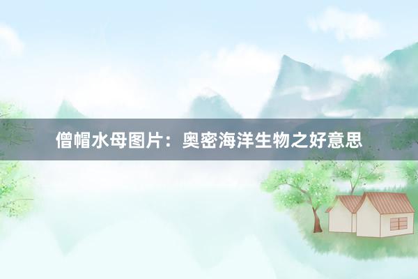 僧帽水母图片：奥密海洋生物之好意思